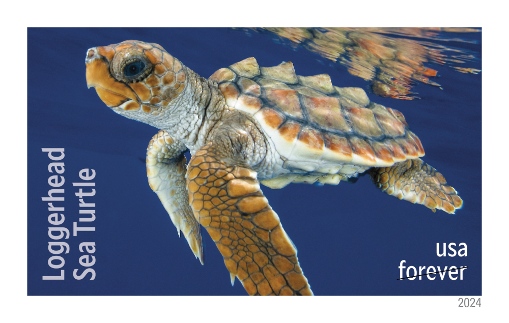 2024 Protect Sea Turtles Stamps | Forever Stamps US Postage Stamps