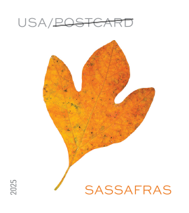 2025 Vibrant Leaves Stamps | Forever Stamps US Postage Stamps