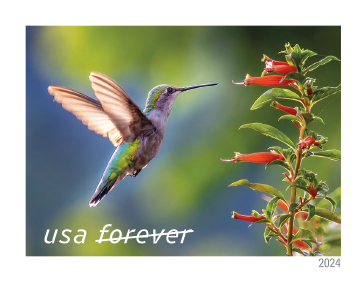2024 Garden Delights Stamps | Forever Stamps US Postage Stamps