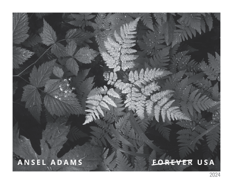 2024 Ansel Adams Stamps | Forever Stamps US Postage Stamps