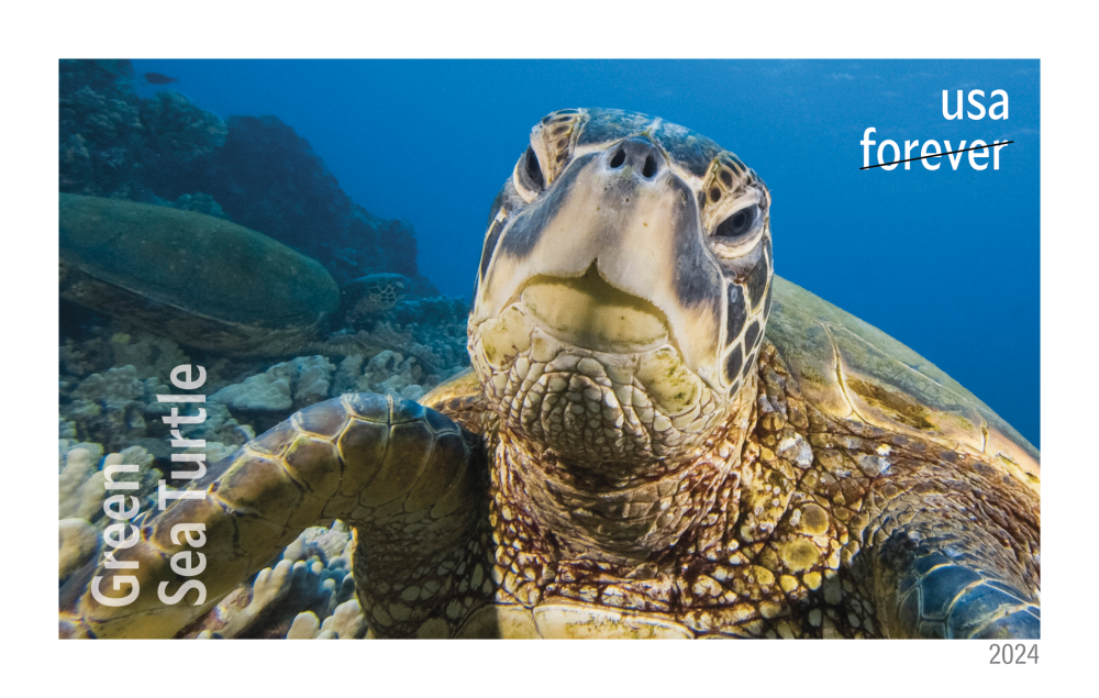 2024 Protect Sea Turtles Stamps | Forever Stamps US Postage Stamps