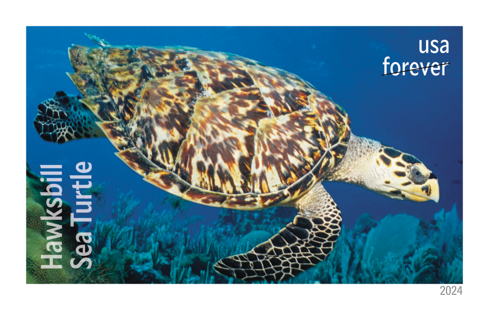 2024 Protect Sea Turtles Stamps | Forever Stamps US Postage Stamps