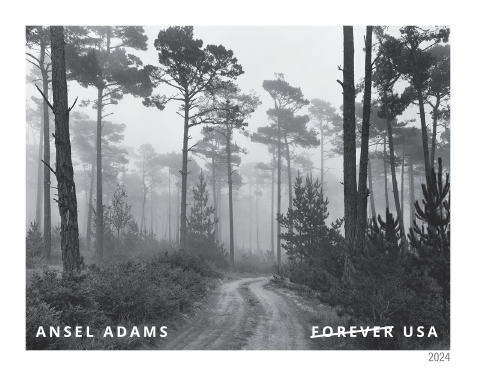 2024 Ansel Adams Stamps | Forever Stamps US Postage Stamps